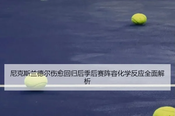 尼克斯兰德尔伤愈回归后季后赛阵容化学反应全面解析