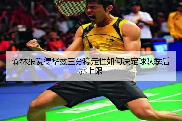 森林狼爱德华兹三分稳定性如何决定球队季后赛上限