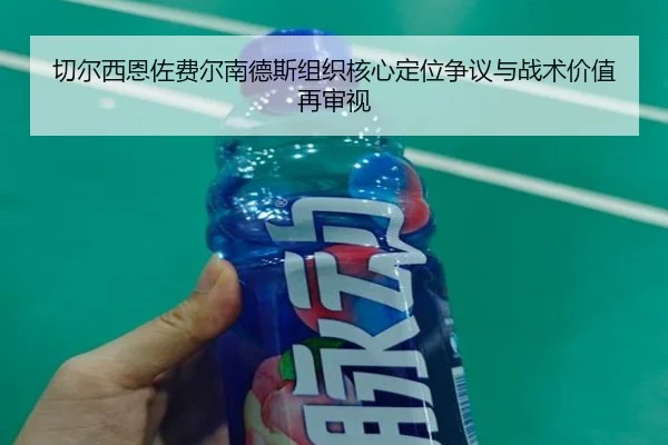 切尔西恩佐费尔南德斯组织核心定位争议与战术价值再审视